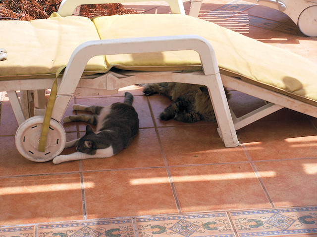 Sharing has never been one of Janelle´s strong points