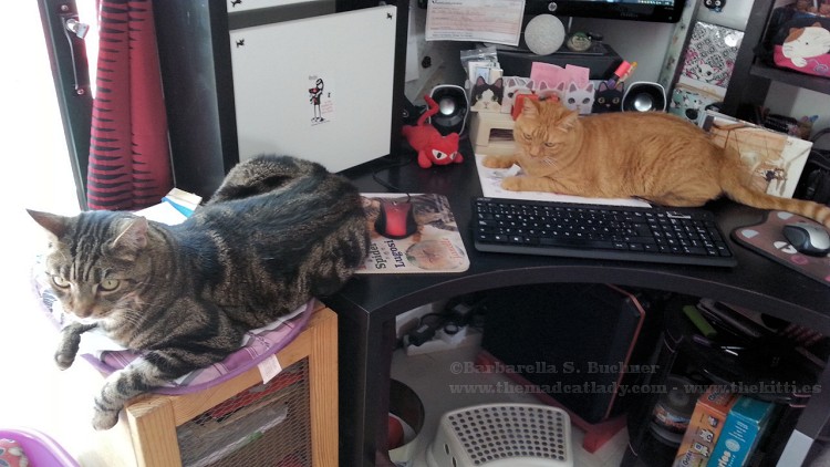 Not getting any work done here…