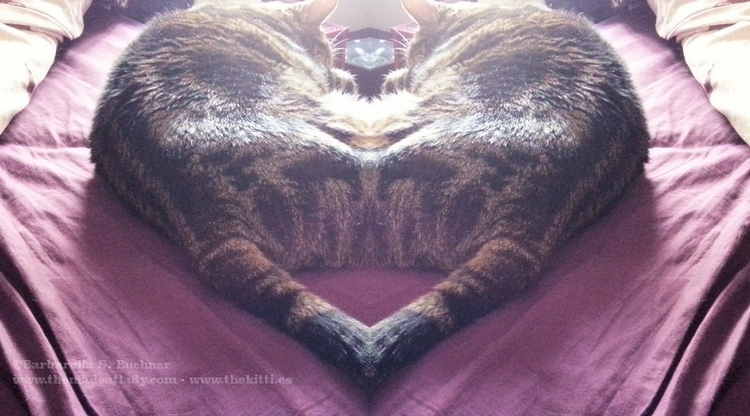 Heart-Shaped Lugosi