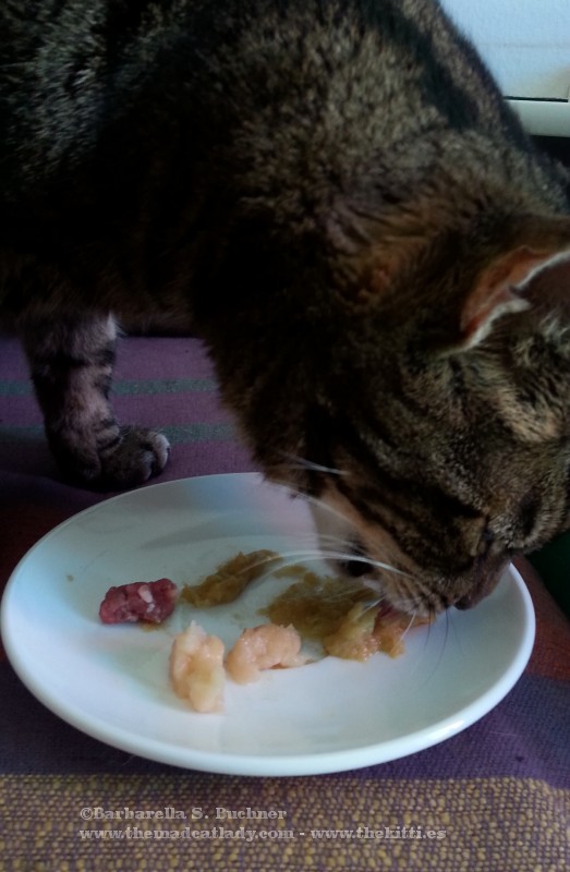 Tapas: Not just for Spanish Cats