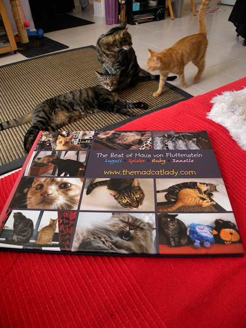 Von Fluffenstein Book out now!