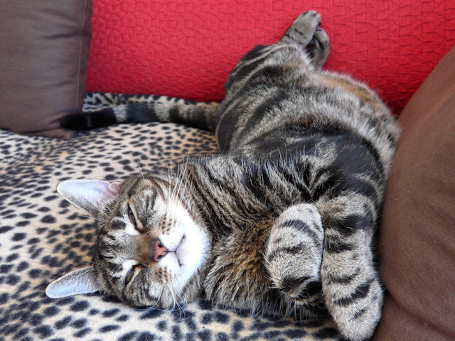 Ah, this is the life….