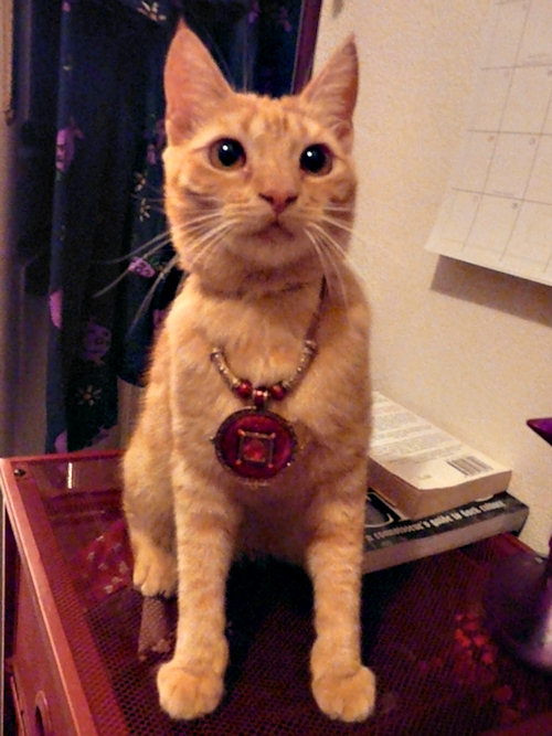 The Power of the Ancient Kitties – I haz it!