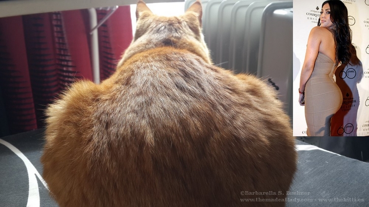 Ruby´s Kardashian Kitty Butt