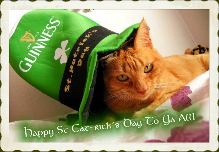 Happy St Cat-rick´s Day!