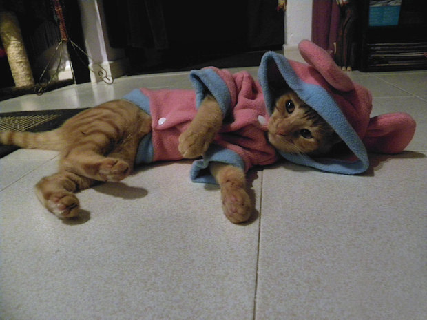 Ruby is not impressed, but….