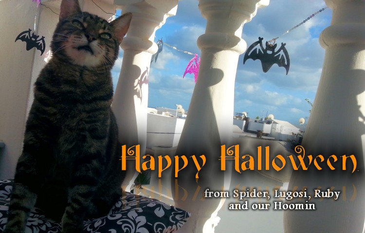 Happy Halloween from the Haus von Fluffenstein