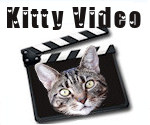 Kitty Fight Club: Bed Fight Ruby v. Lugosi