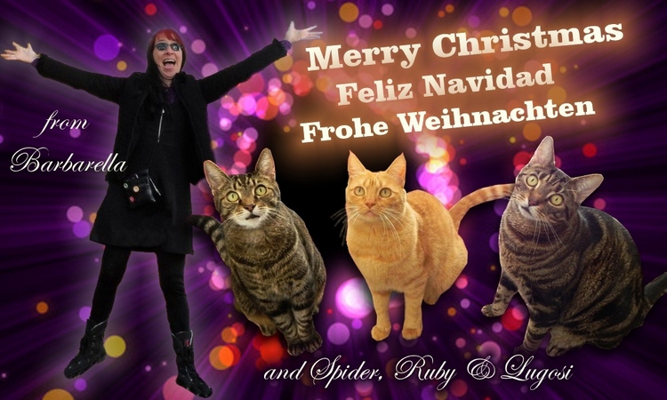 Merry Christmas to all you humans & kitties alike (and doggies too!)