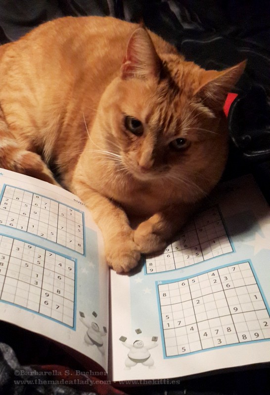 Need help with Sudoku? Ruby to the Rescue!