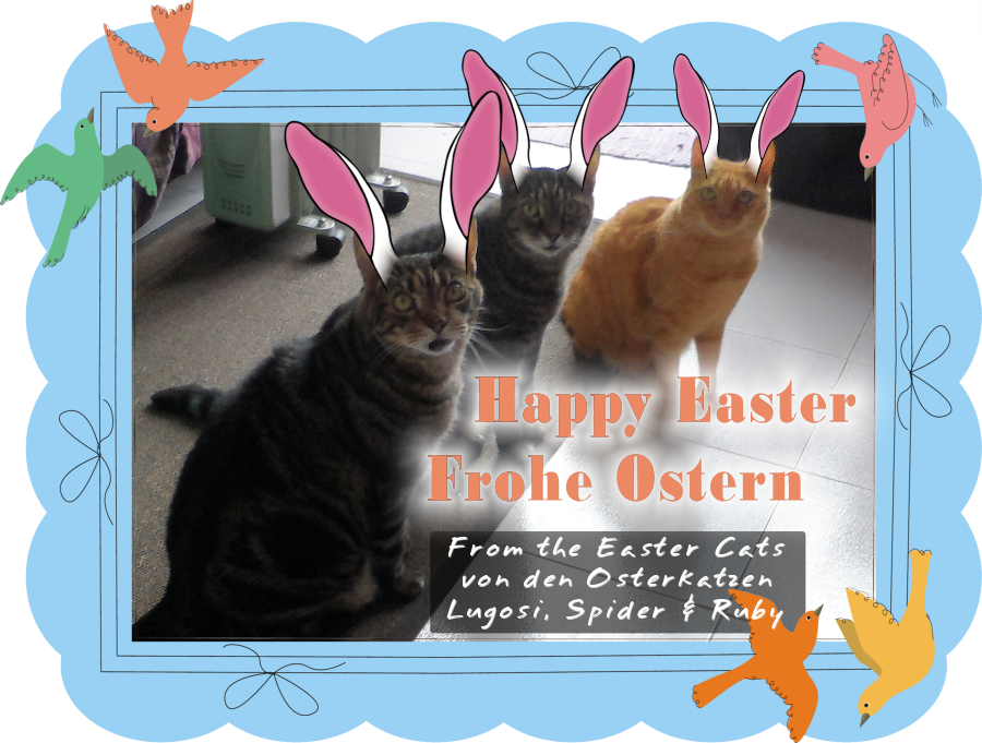 Happy Easter from the Easter Cats