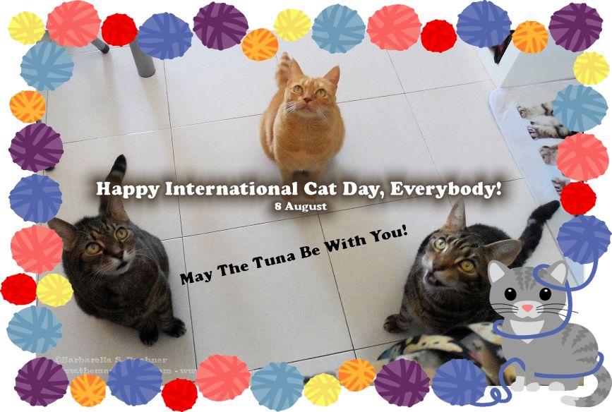 Happy International Cat Day 2015