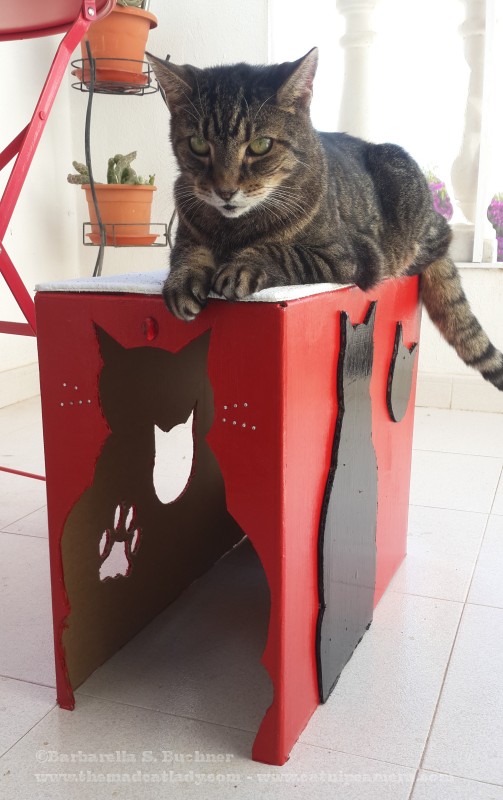 New Cat House Turns Out To Be Popular