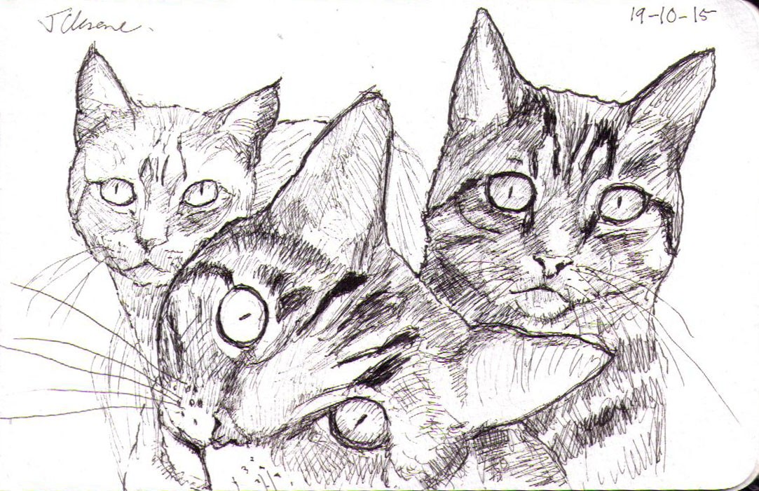 Kitty Art Sketch of Lugosi, Spider & Ruby