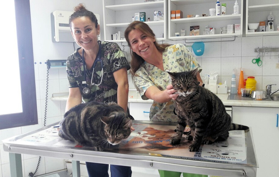 Spider & Lugosi at the Vets!