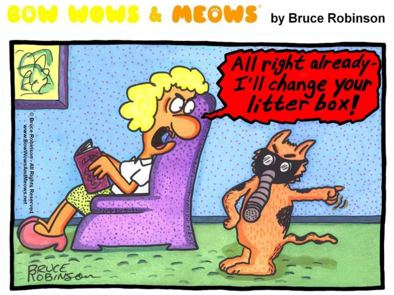 Cat & Dog Humour – Bruce Robinson
