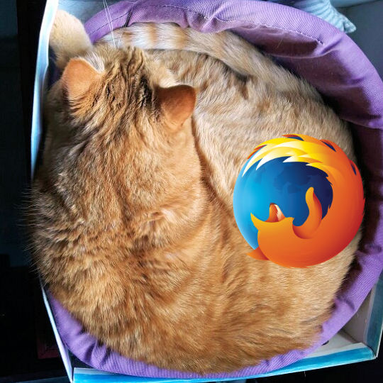 Ruby the Firefox