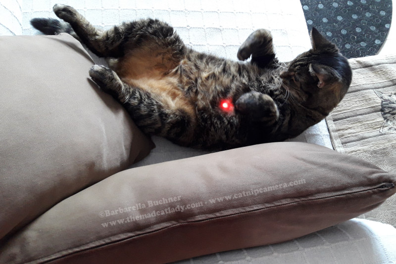 That elusive red dot!