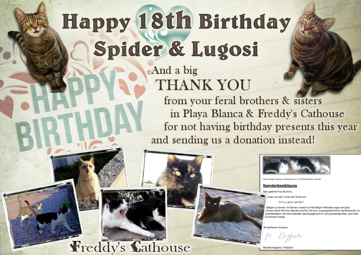 Lugosi and Spider are 18 today!!!!