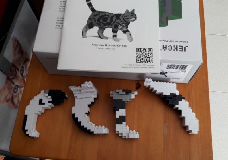 foam climbing shapes