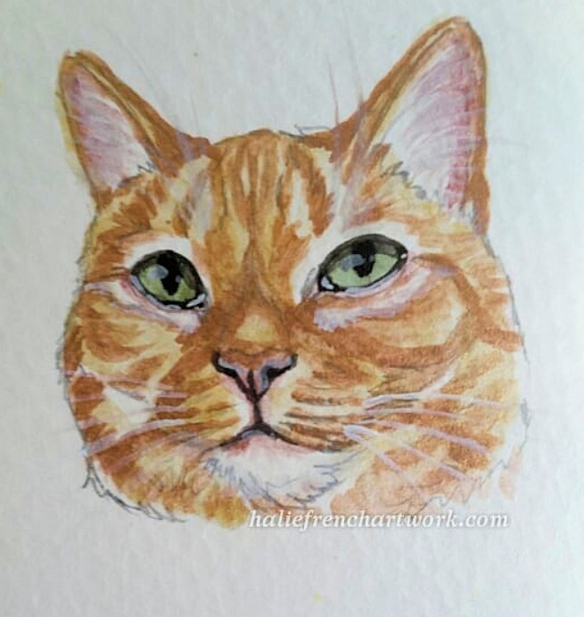 Beautiful Pawtrait of Ruby by Halie French