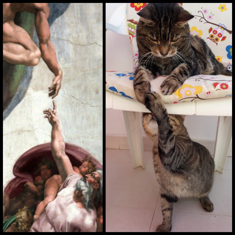 The Sistine Chapel Kitty Style