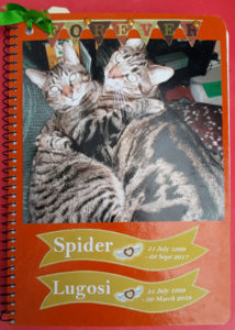 Spider and Lugosi Memory Book Cover Page