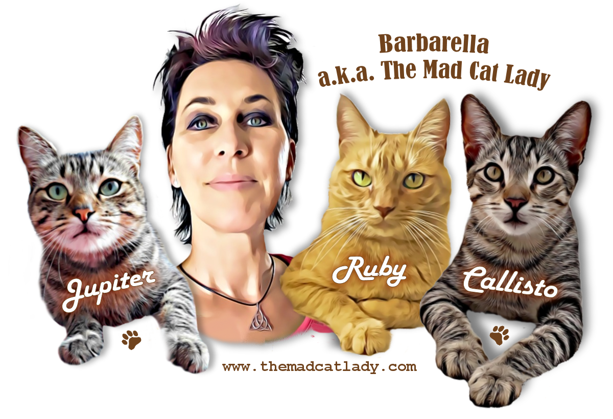 The Mad Cat Lady